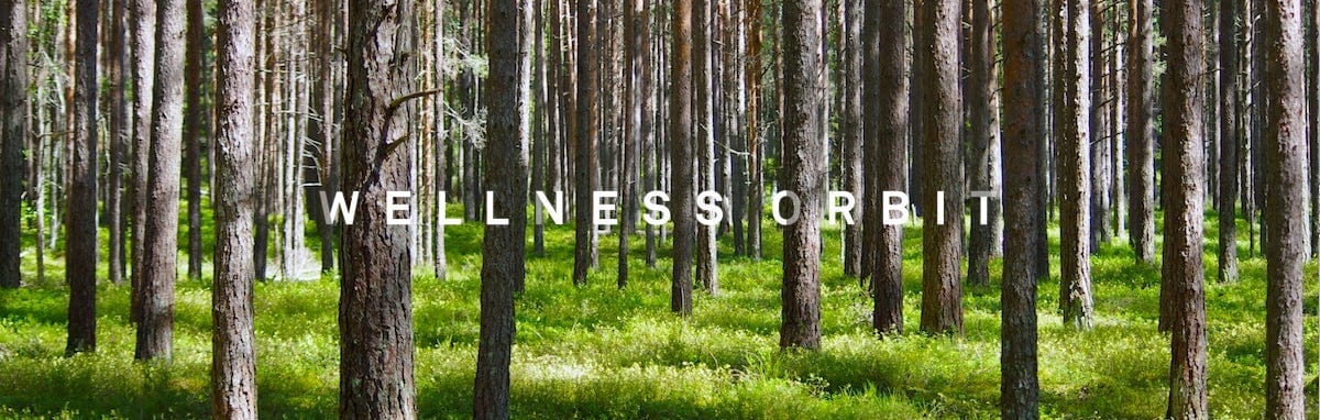 The stillness of nature teaches us inner calmness The stillness of nature teaches us inner calmness